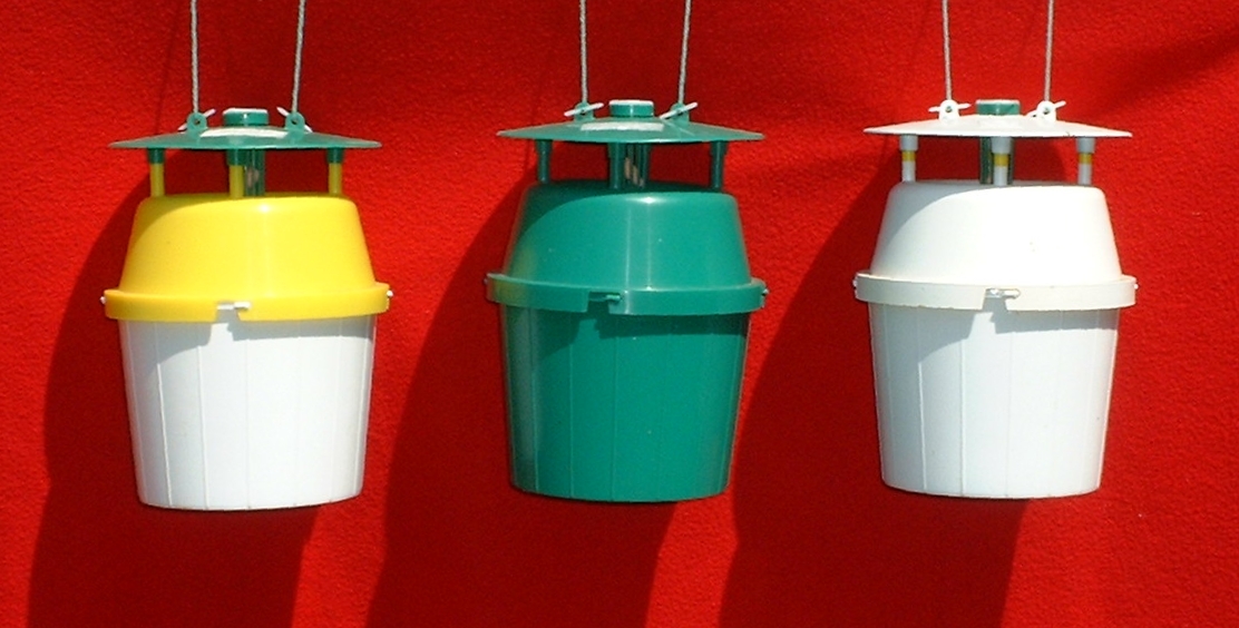 Bucket traps used in 2003 and 2004